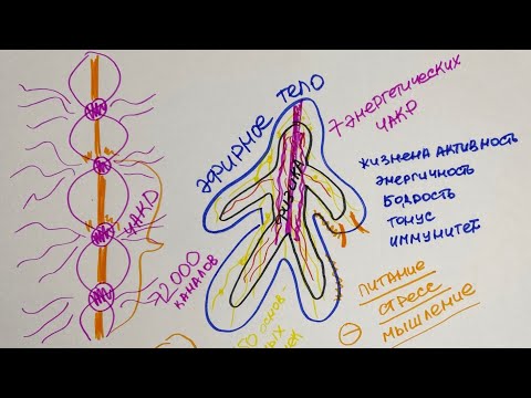 Эфирное тело, энергетические каналы и чакры