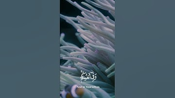 ﷽ وَفِي الْأَرْضِ آيَاتٌ لِّلْمُوقِنِينَ وَفِي أَنفُسِكُمْ ۚ أَفَلَا تُبْصِرُونَ آية 19 سورةالذاريات