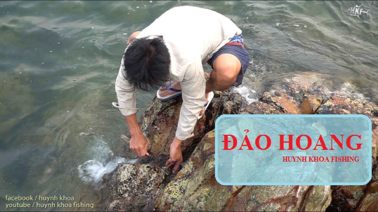 CUỘC SỐNG TRÊN "ĐẢO HOANG" GIỮA BIỂN | HUYNH KHOA FISHING