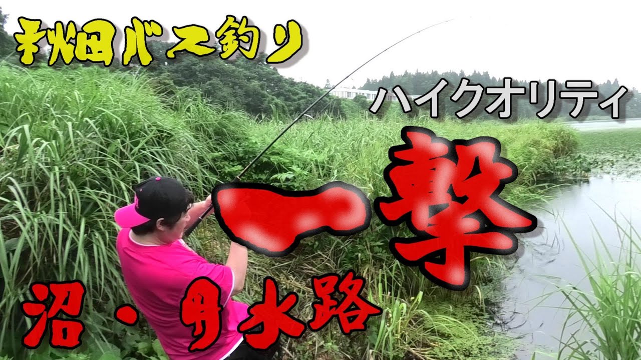 秋田バス釣り 沼にある用水路を狙う バス釣り ブラックバス 釣り Youtube 秋田バス釣り 沼にある用水路を狙う バス釣り ブラックバス 釣り Youtube