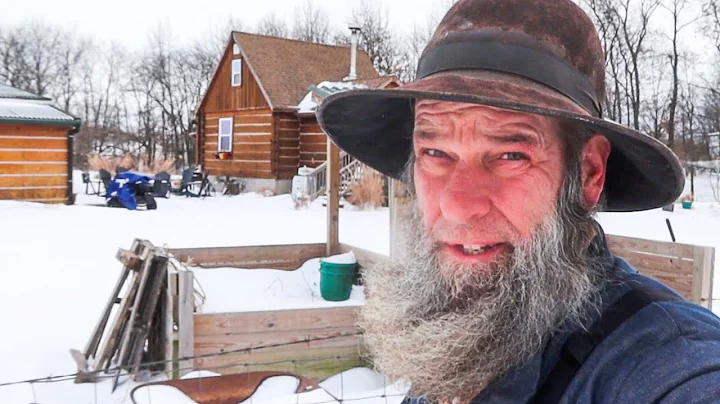 Snow Storm and Lambs! Homesteading Life Off Grid
