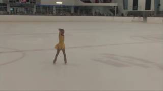Celebrity Maria Carolina Arborio Palm Beach Ice Works Basic Skills 2016 Wealth
