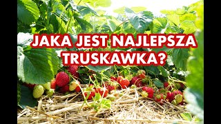 Jaka jest najlepsza truskawka?