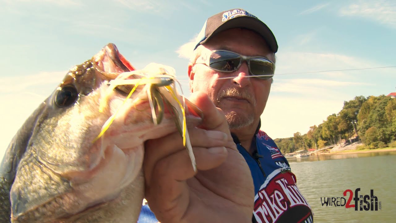 Everything You Wanted to Know About Swim Jig Fishing YouTube