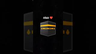 #randomfacts #facts #interestingfacts #amazingfacts #itislam #quran #allah