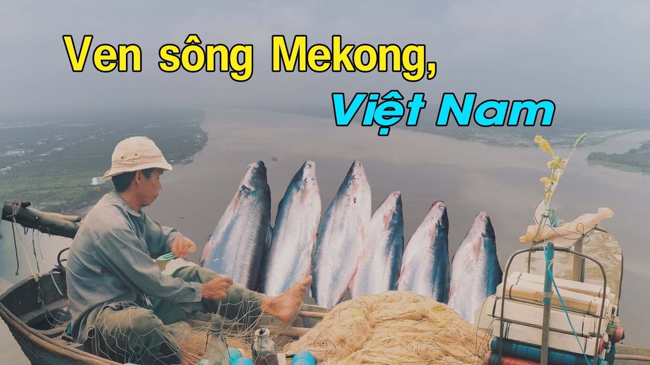 Рынок и сельская жизнь вдоль реки Меконг