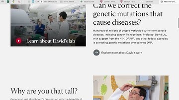 Harvard cs50 - Project 0: Search