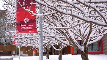2020 Stony Brook University International Students Holiday Video