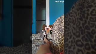 Dois Casais Lindos Dançando