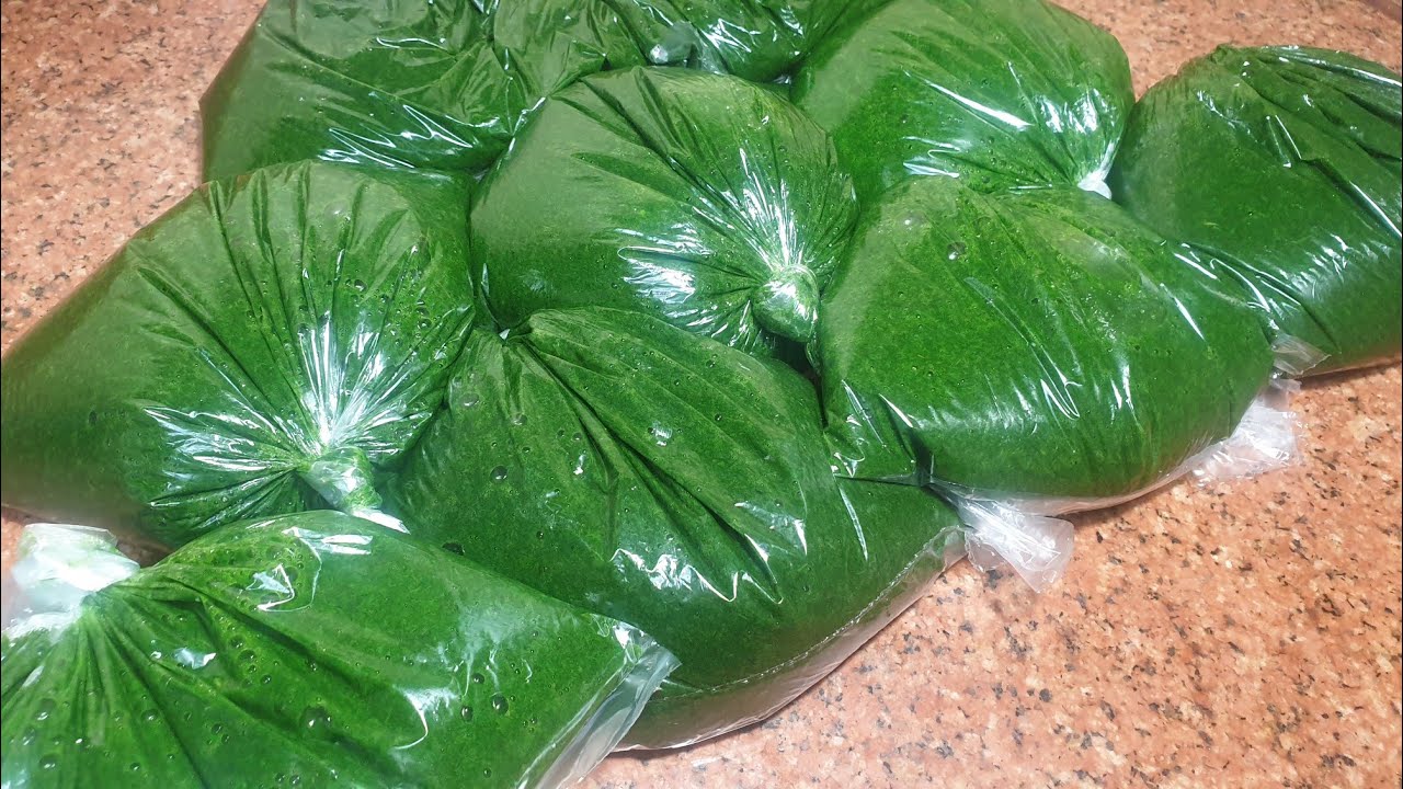 تخزين الملوخية الخضراء لمدة سنة او اكتر وسر خضارها وفى خمس دقايق وتحدى على طريقة اختى