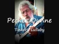 Pecker Dunne - Tinkers Lullaby.wmv