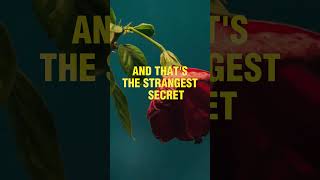 Everything Start With A Single Thought