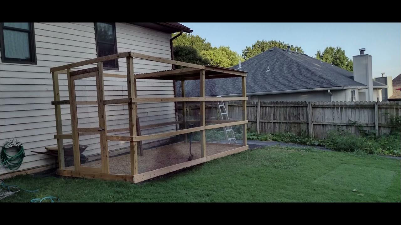 DIY Parrot Aviary From Start To Finish YouTube