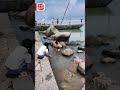 【澳日快趣】風從哪裏來？