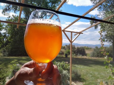 Kombucha