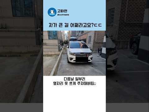<strong>차</strong> 크다고 이렇게 주차해버린다고?