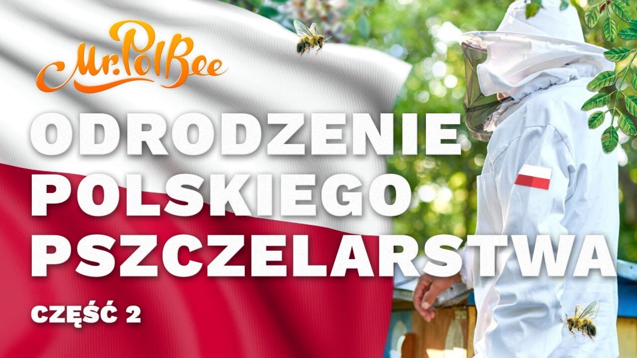 Odrodzenie polskiego pszczelarstwa | Mr.PolBee Poland