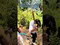 Sometimes,people do the darkest acts in the name of helping #foolishness #sonam #indorecouplecase