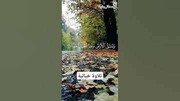 تلاوة خاشعة مريحة للنفس بصوت الشيخ الحصري رحمه الله       #اكسبلور #الحصري #قرآن #قران_كريم #قران