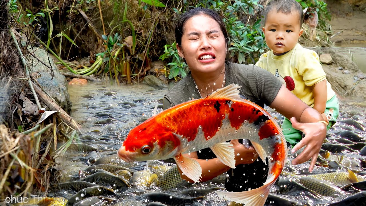 Hand-Caught Carp Weighing More Than 500kg for the Local Fish Market