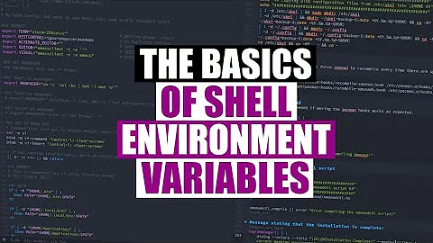 How To Use Shell Environment Variables