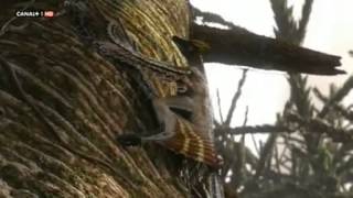EL PLANETA DE LOS DINOSAURIOS - ( 3 ) MUNDO ALIENIGENA