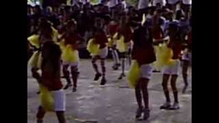 Pulo Elem School Grade 3 Cheering Performance 2013
