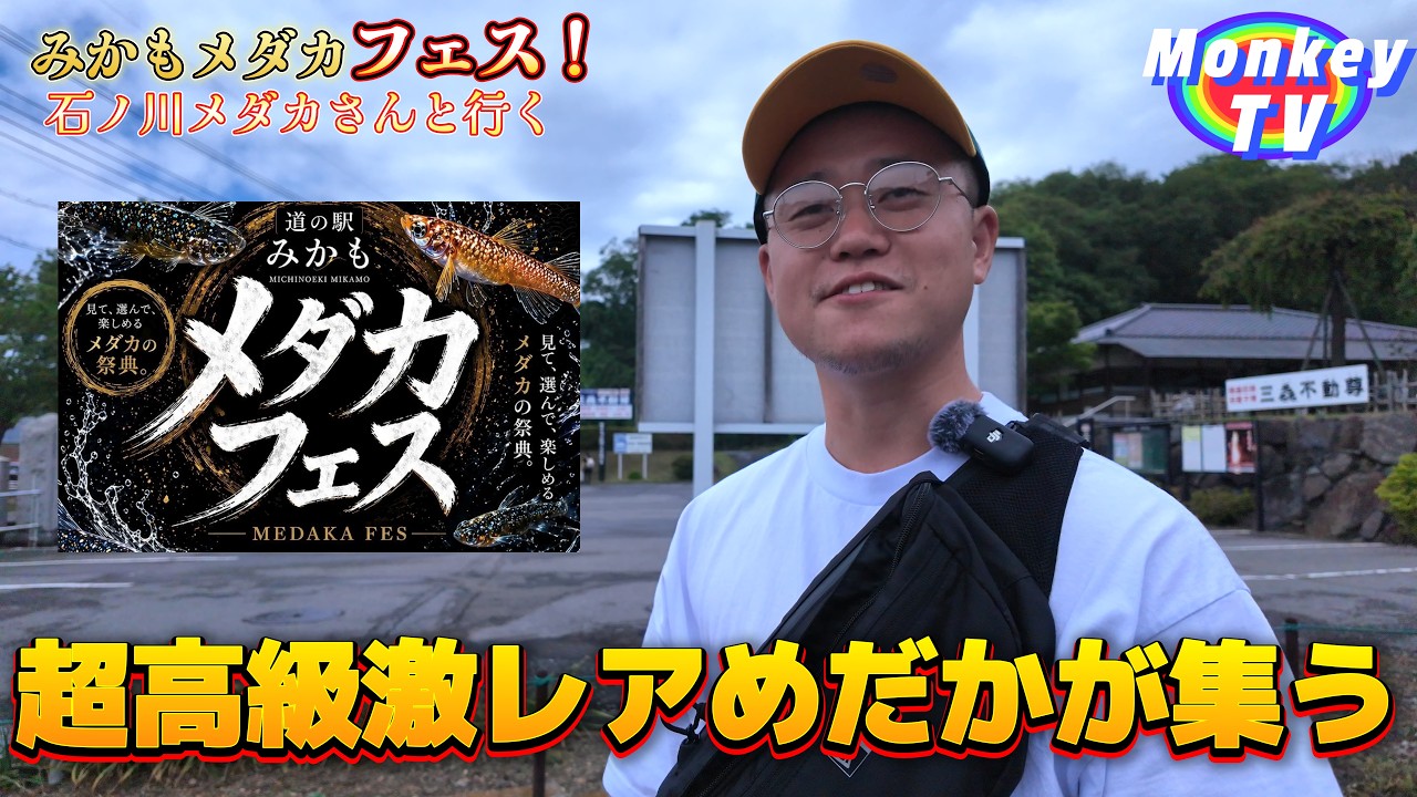 【めだかフェス】超高級メダカがこの日は激安!道の駅みかもメダカフェスが楽しすぎた!