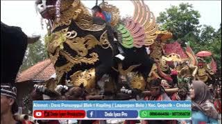 Emong diwayu | Panca Muda sing Due Singa Gede | Kh. Maulana & Maulani Desa CiKeusal - Gempol Cirebon