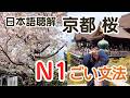 Japanese Listening Practice N1 | 京都 桜 清水寺【JLPT N1のごい文法35こ】日本語聴解