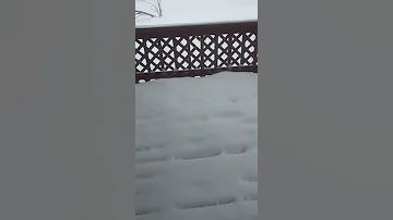 First Winters Snow Storm In Southern Illinois Still More To Come 