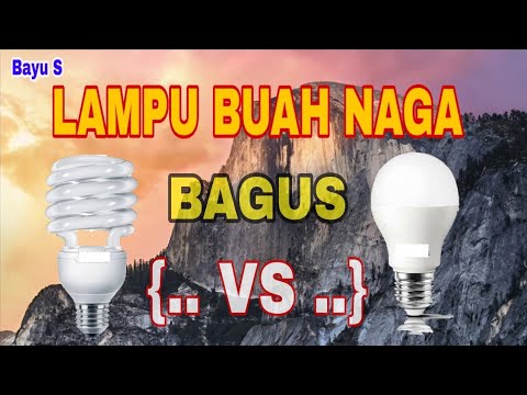 TIPS MEMILIH LAMPU BUAH NAGA