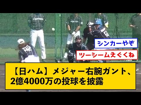 【日ハム】メジャー2億4000万の右腕ガントの投球に賛否が分かれる←活躍すると思う？【なんＪコメント付き】