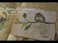 Edith Holden watercolor bird painting tutorial & JJ pocket