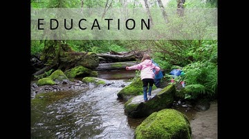 Rethinking the Value of Forests: From Timber to Water, Education and Health