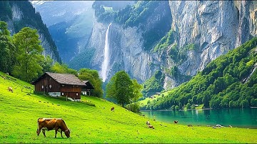 Music therapy 🌿Soothes the nervous system and refreshes the soul, relaxing #2