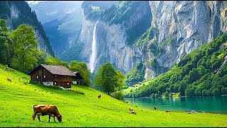Music therapy 🌿Soothes the nervous system and refreshes the soul, relaxing #2 by Beautiful Relaxing Music 9,587 views 9 days ago 1 hour, 25 minutes