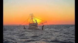 Evans Head Trawler 2026