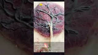 Bạn Đáng Giá Ntn