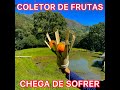 Aprenda a fazer um coletor de frutas com cano PVC