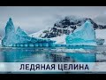 Тайны Антарктиды! Структура  видимой части поверхности! ЧТО ЭТО ?!