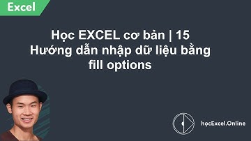 Học Excel cơ bản | Bài 15: Nhập dữ liệu bằng fill options - Autofill trong Excel