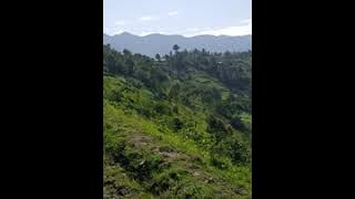 Alimo sindu mutikiye