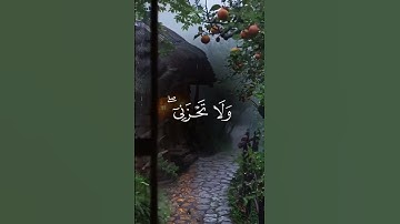 تلاوة_عذبة#خشوع#قران_يتلى#اذكروا_الله#قران_رحمة#القران_نور#قران_يهدينا#قران_كل_يوم#Quran#