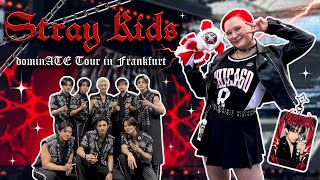 картинка: VLOG: STRAY KIDS ВО ФРАНКФУРТЕ // САМЫЙ СУМАСШЕДШИЙ КОНЦЕРТ ❤️‍🔥