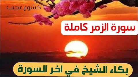 تلاوة خاشعة للقارئ الشيخ سعدون حمادي.. سورة الزمر كاملة