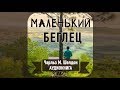 Аудиокнига "Маленький беглец" 1. Под старыми клёнами