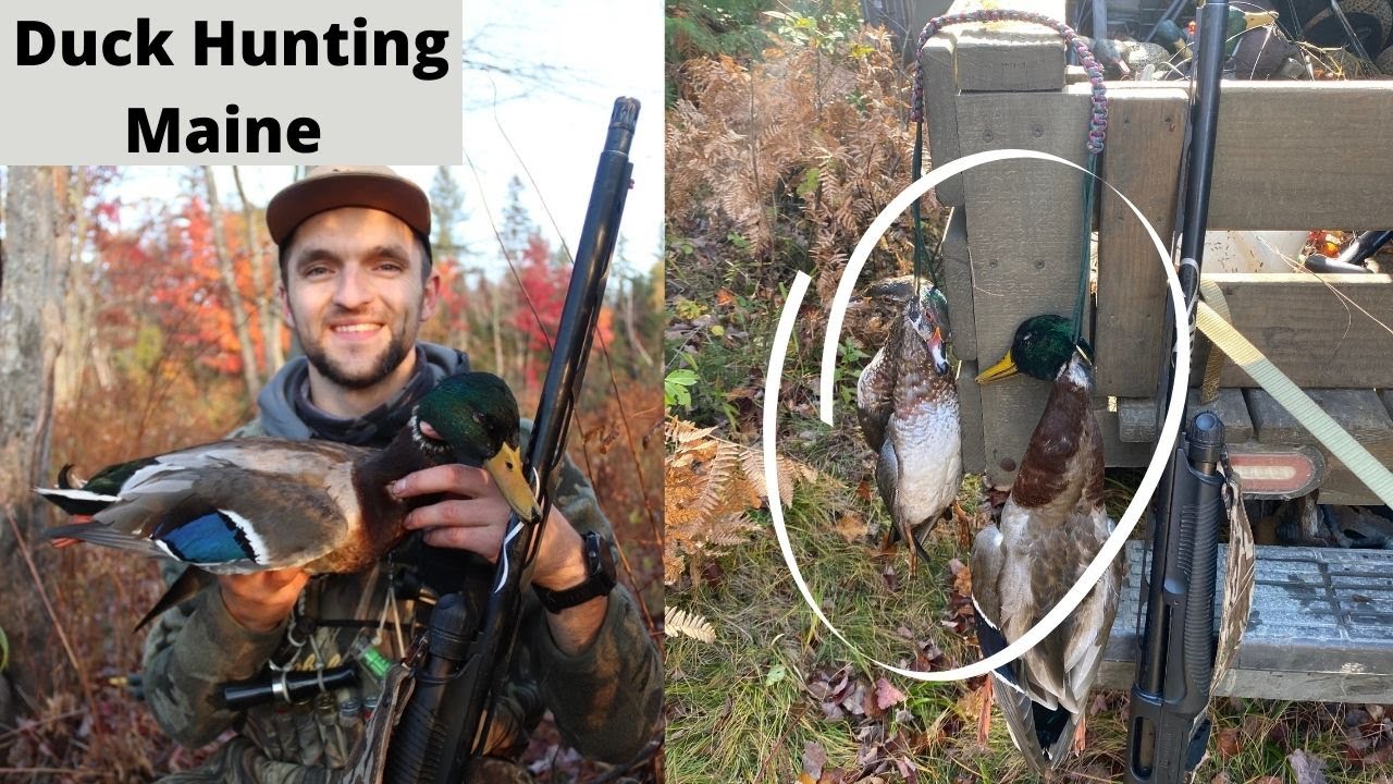 Duck Hunting Maine Beyond The Boundaries YouTube duck-hunting-maine-beyond-the-boundaries-youtube