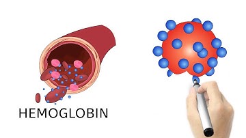 Hemoglobin A1c & Diabetes