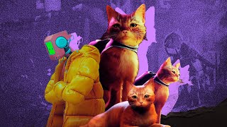 Что? Мяу! Обзор Stray: главным хитом этого лета стала трогательная игра про рыжего кота | Чемп.PLAY